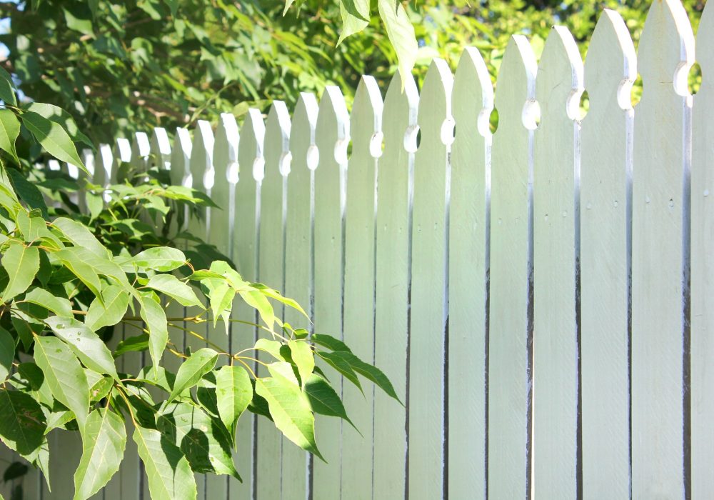 White picket fence in the garden